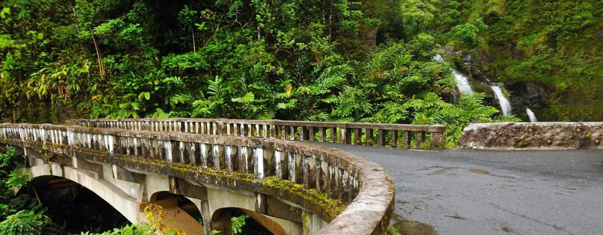 Royal Kahana 104